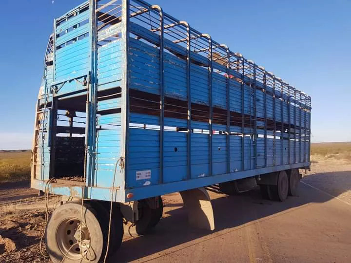 FB_IMG_1654729134144