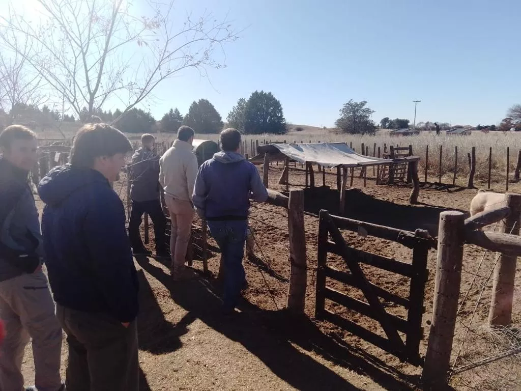 116013_img-20220625-wa0015 (1)