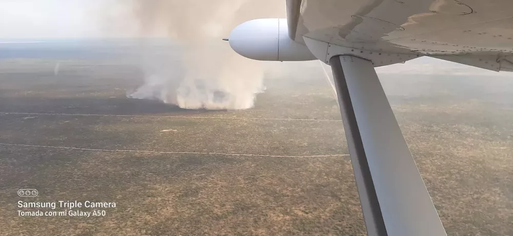 116759_whatsapp-image-2022-01-15-at-13.14.49--1- (1)