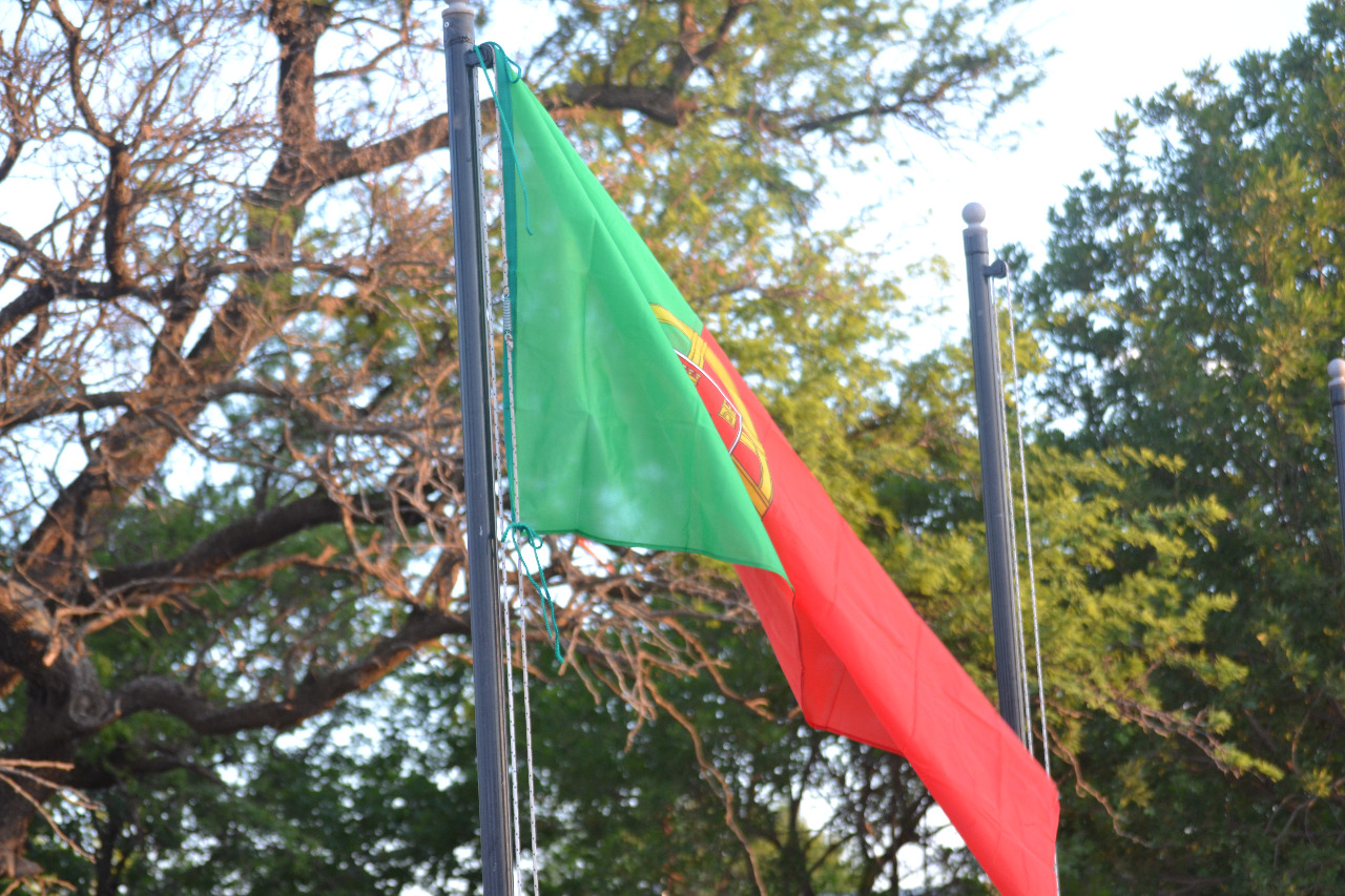 896b4235-f216-409c-a2bb-40581b5d58de