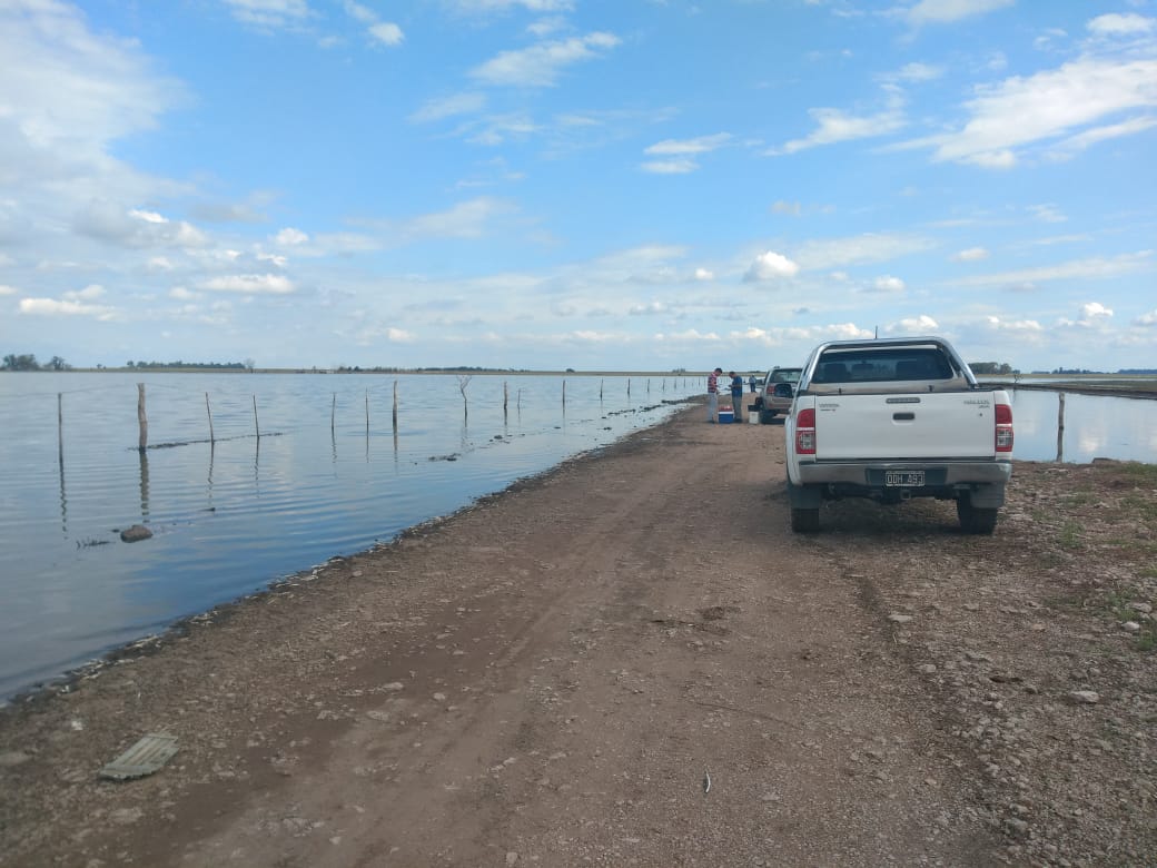 46f1d273-51cc-4661-a41b-2bb7a7e1398c