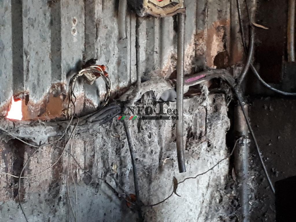 20181218_115129 (FILEminimizer)