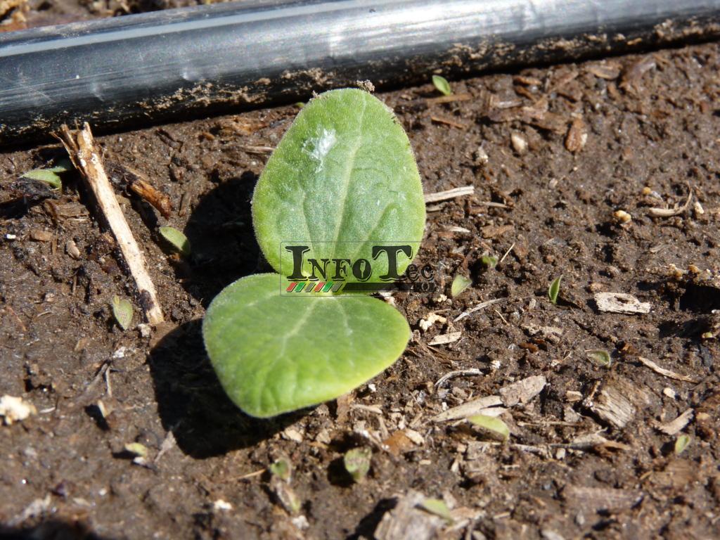 P1280344 (FILEminimizer)