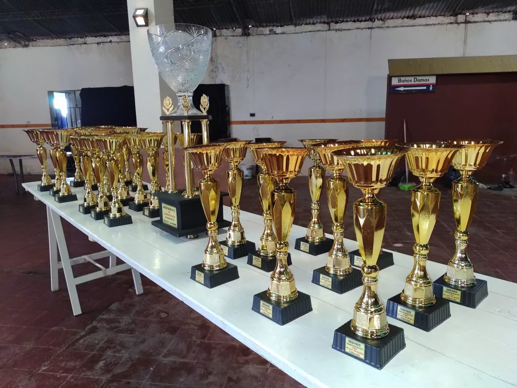 tejo 18 (FILEminimizer)