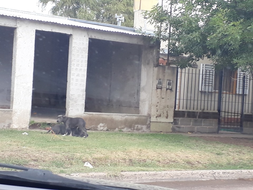 59189026_2105836282849010_7613074645943582720_n