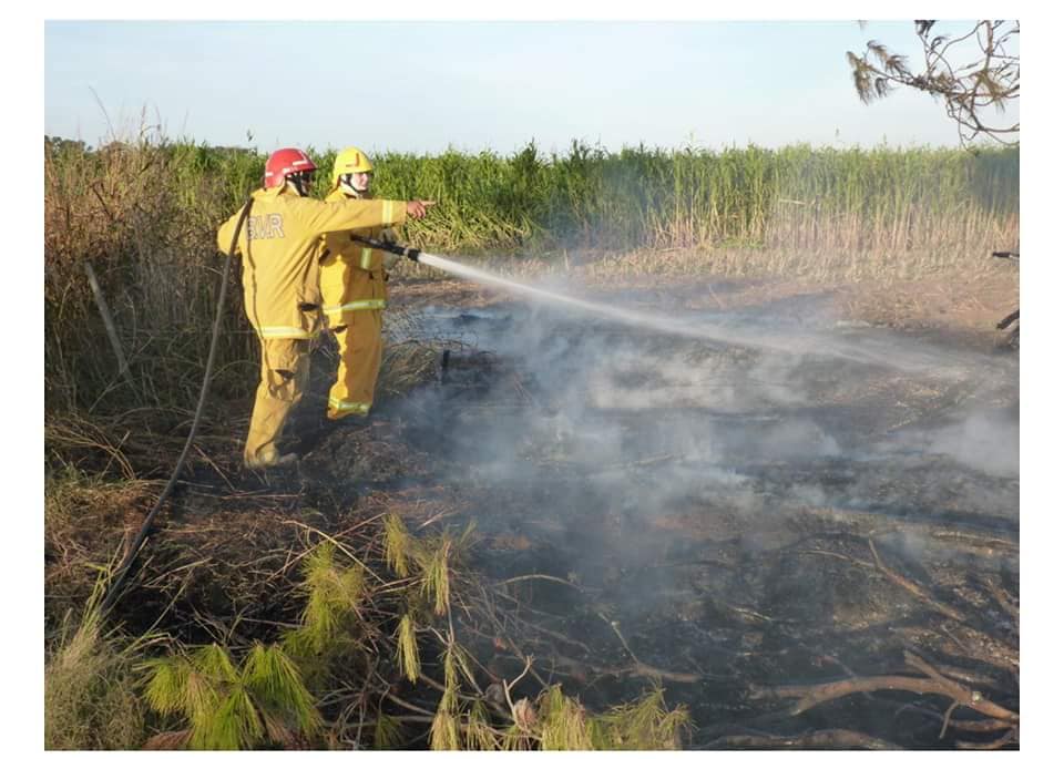 59802474_2428979753780349_4368321218542043136_n