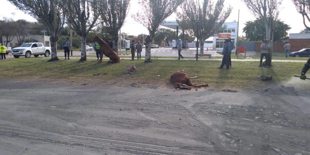 IMG-20200511-WA0017-1024x512