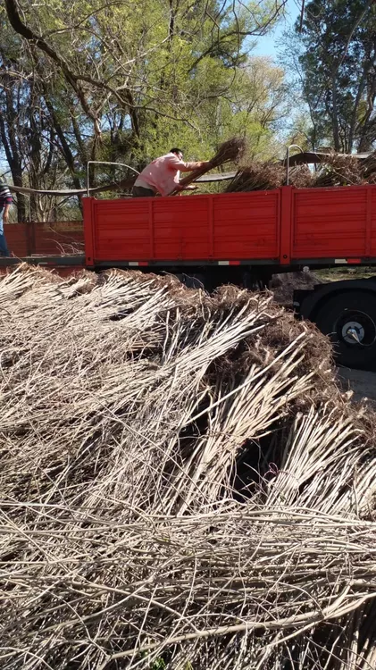 409531_whatsapp-image-2022-10-07-at-15.19.25