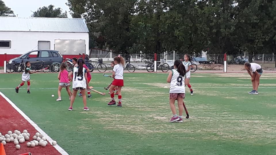 53786870_2338446479500344_5703581805899153408_n