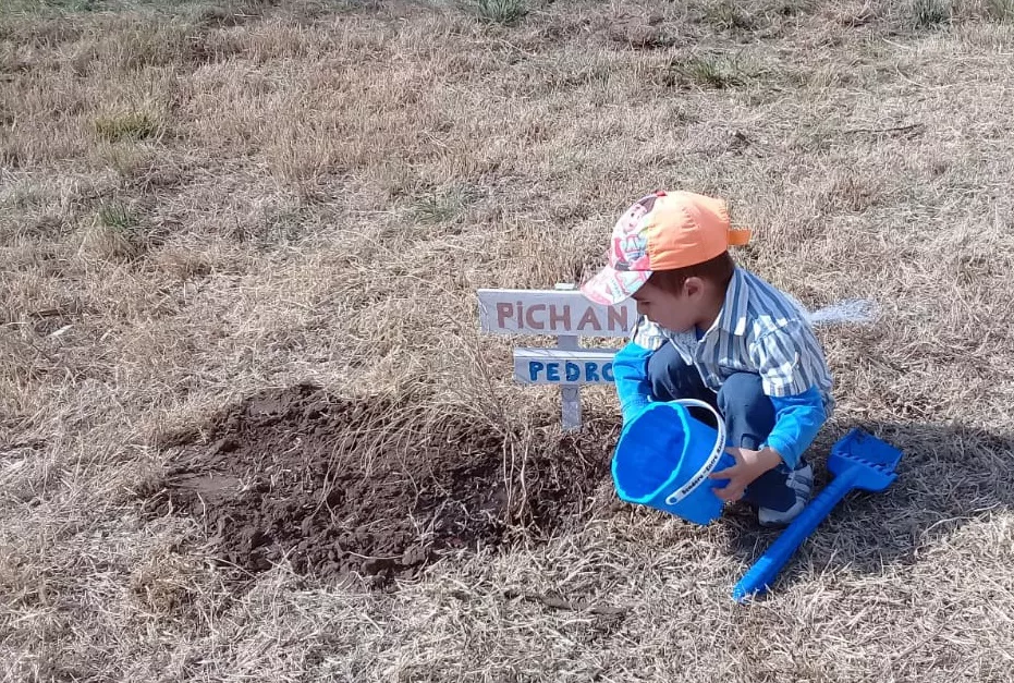 4cdbdbbb-994d-4bc4-93a2-dd562132ff3c