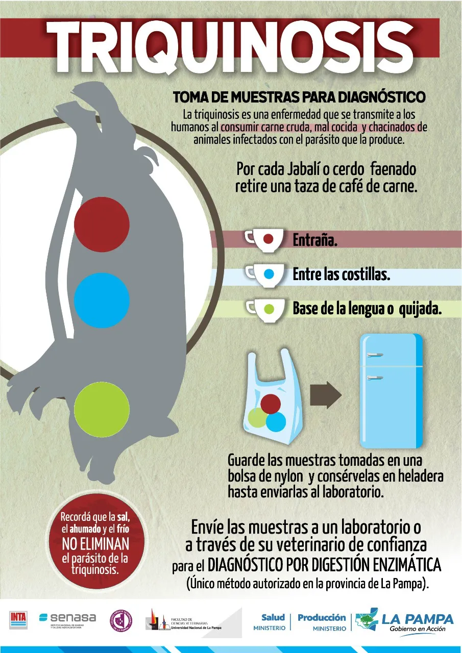 348318_whatsapp-image-2023-06-30-at-16.50.03