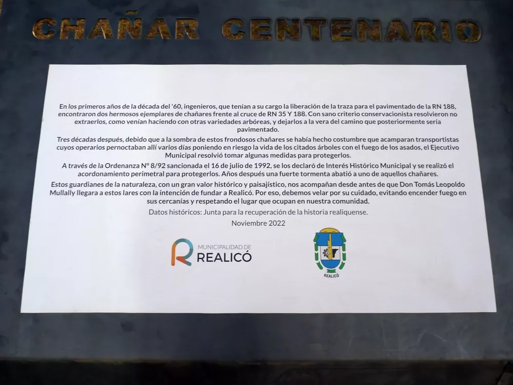 chañar 2 (FILEminimizer)