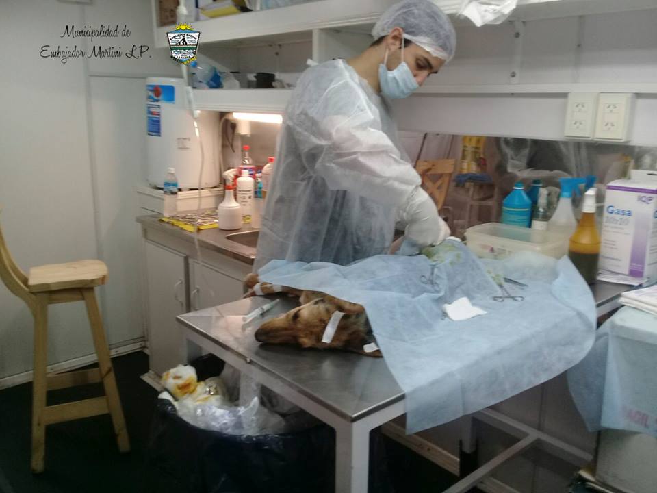 32169273_447748042320902_7112132900606181376_n