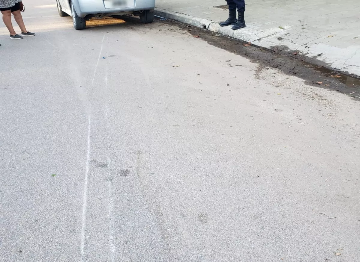 553569e5-64e2-498d-8fe0-a285d8623886