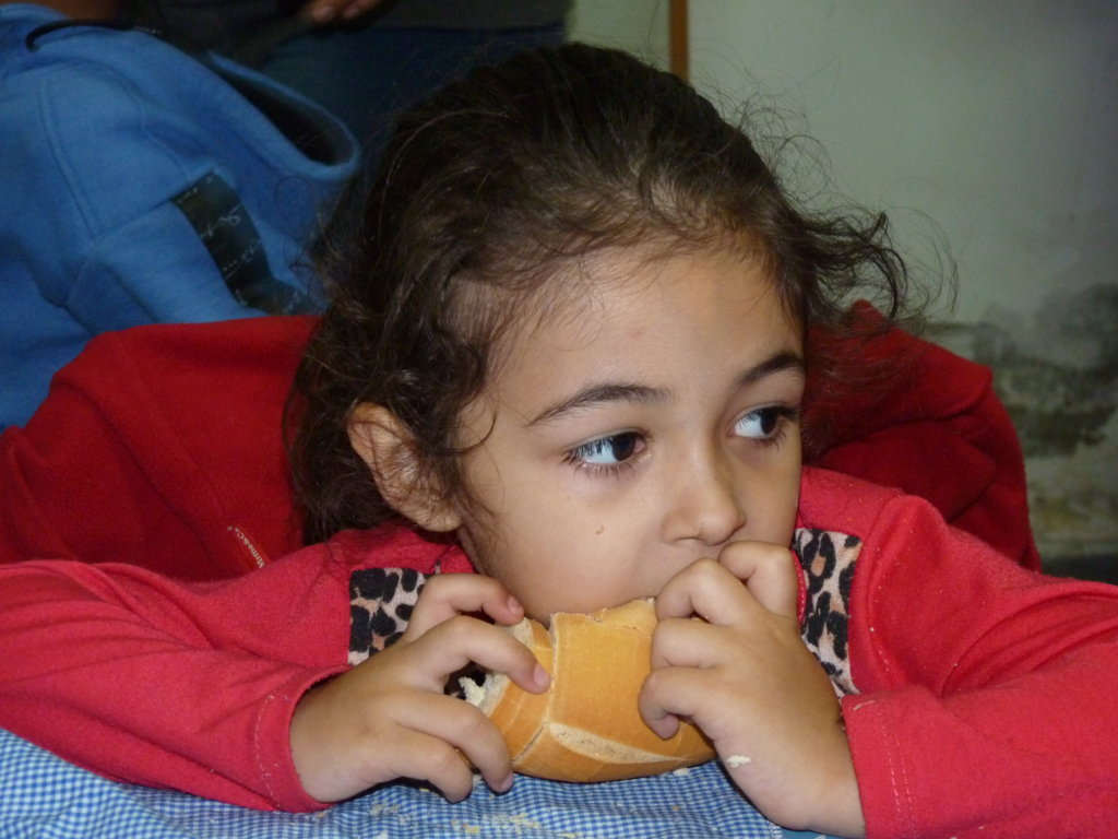 P1290896 (FILEminimizer)