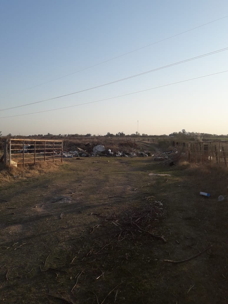 82da4198-a3a2-4f19-accf-5c8895a31fe7