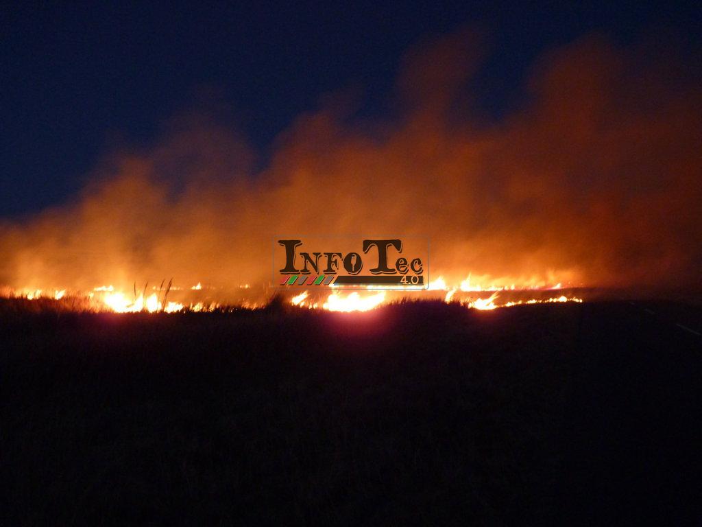 P1250713 (FILEminimizer)