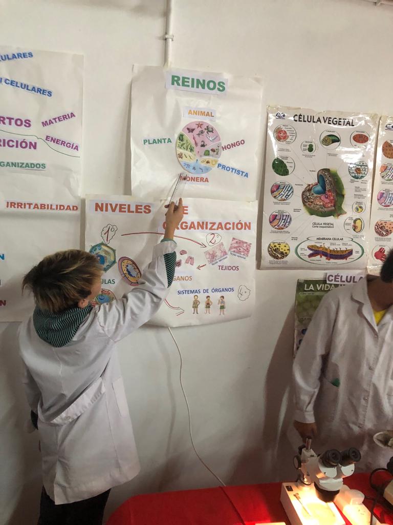 ebf6bae6-3f81-4c1f-949d-07fb7d48238b