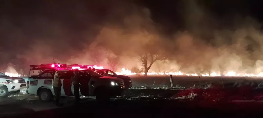 incendio el tala infotec