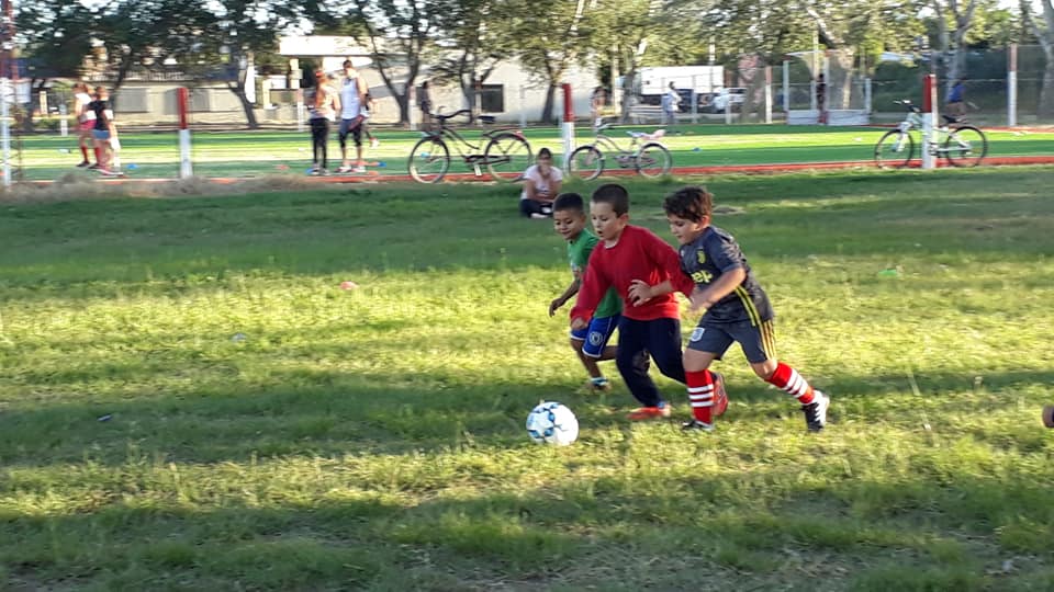 53602095_2347334591944866_4273062670732623872_n