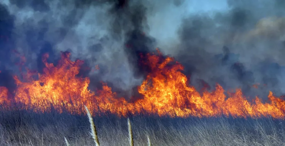 incendio camioneta 8 (FILEminimizer)