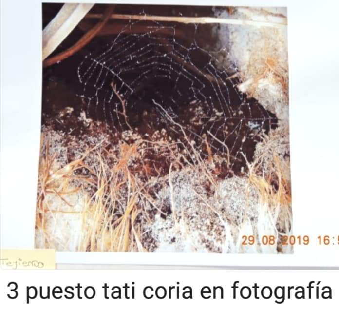 FB_IMG_1567169178256