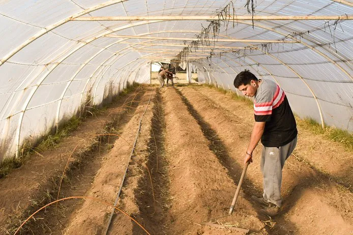 354037109_642242874616654_2109680479292946207_n