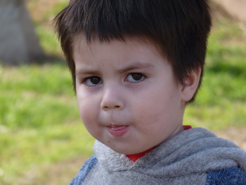 P1240735 (FILEminimizer)