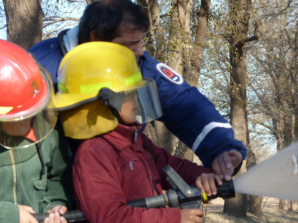 P1210832 (FILEminimizer)