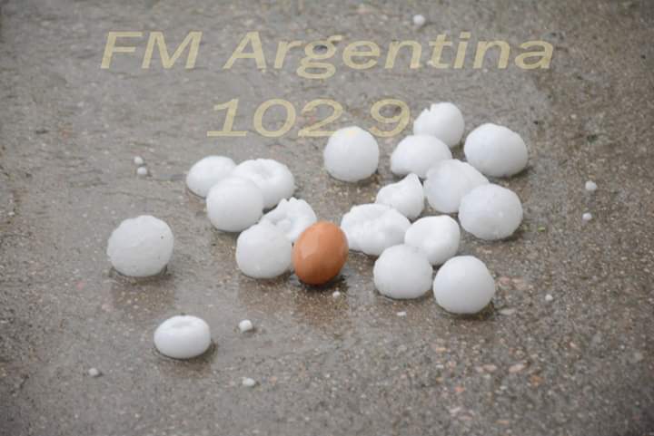 FB_IMG_1544525167568