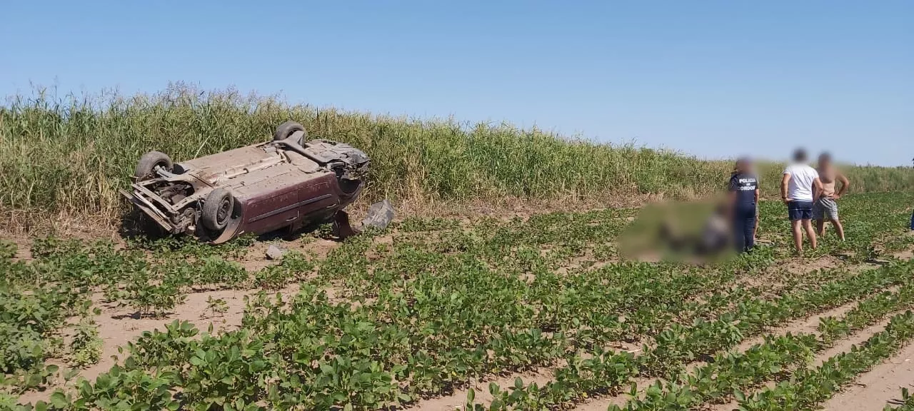 87f17956-878b-41a2-b658-f1b6feb313bd