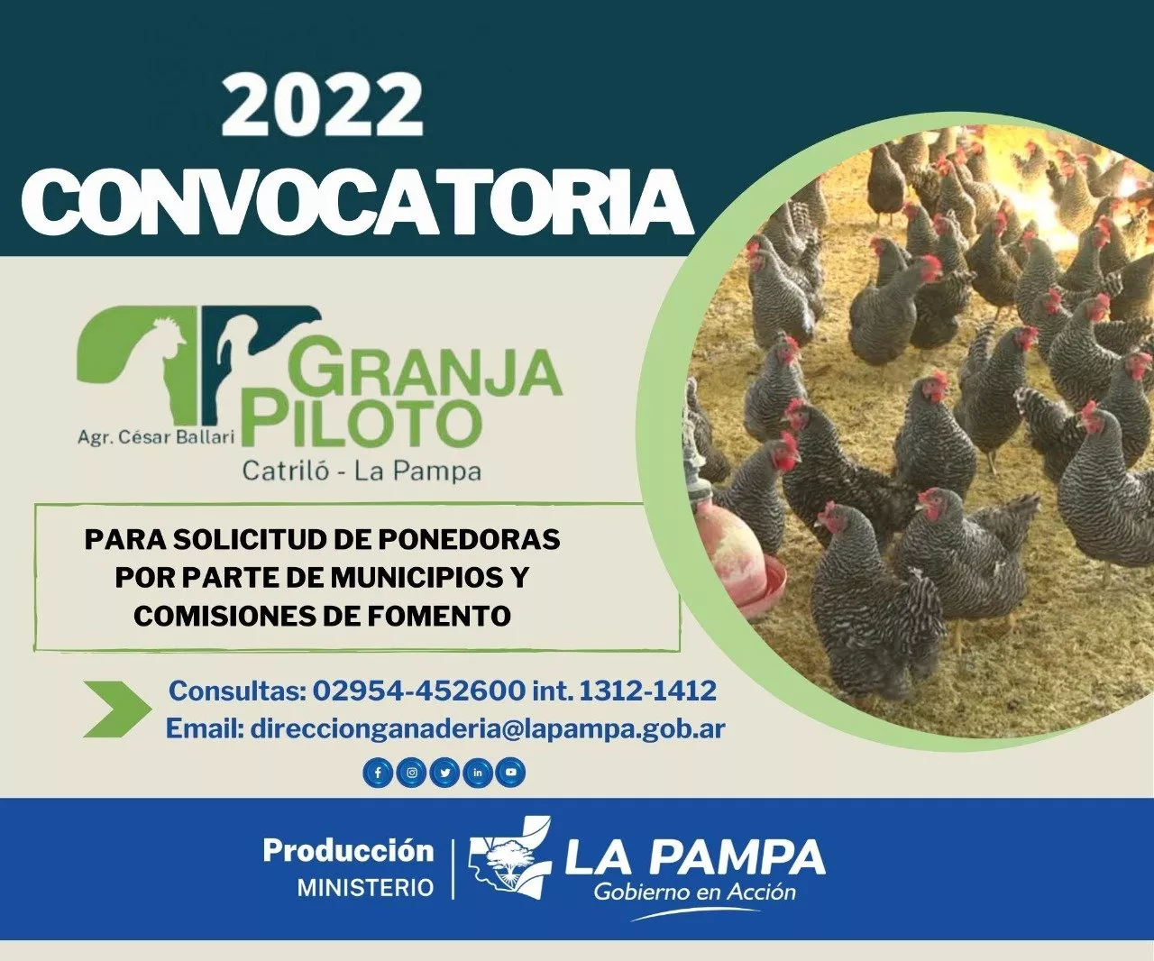 GALLINAS