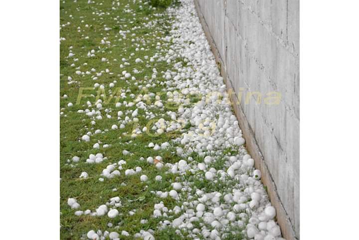 FB_IMG_1544525165211