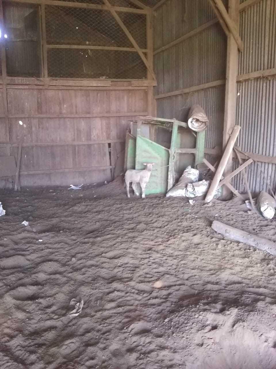 ABIGEATO LAGOS 3 (FILEminimizer)