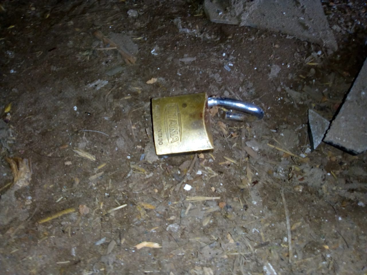 a05b123c-48b4-4f69-a6a7-6c0f5defd703