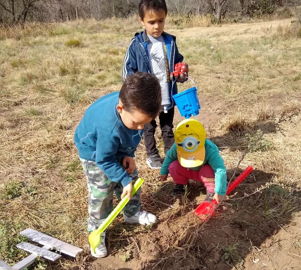 a32600c9-9dd1-4a7e-b2f7-b460d91b385b