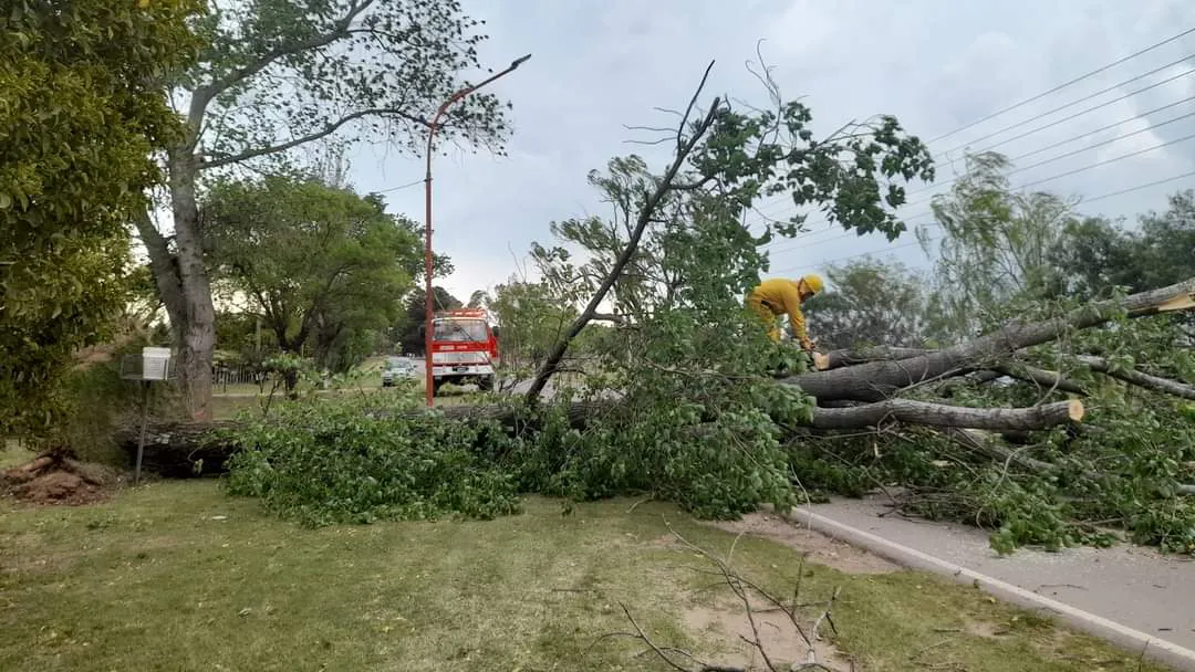 FB_IMG_1697921904223