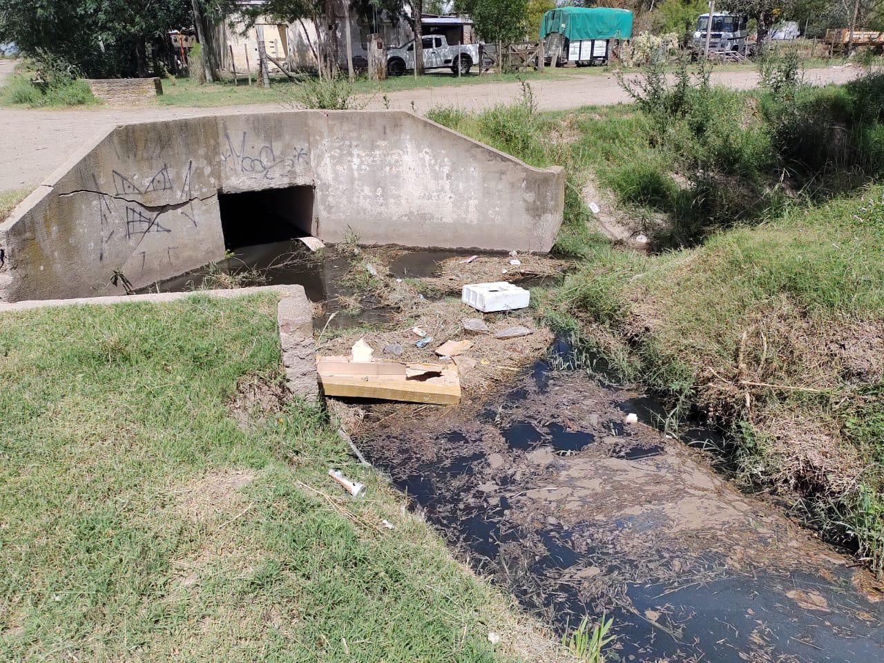 0dde896c-e40a-4d17-86bb-97fae3877b0c