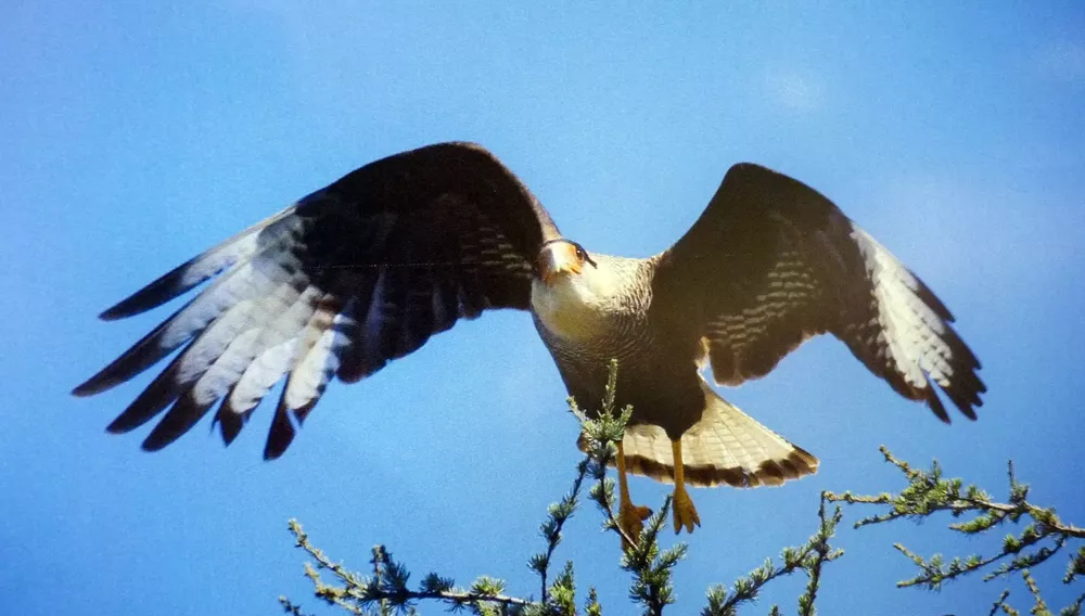 turismo 12 (FILEminimizer)