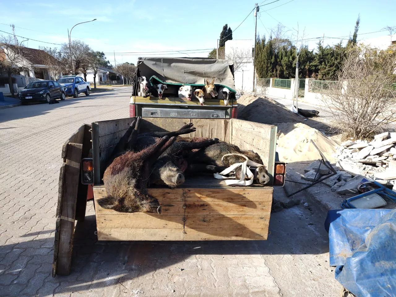 c77076e8-3ada-47f3-b722-1632e841f169