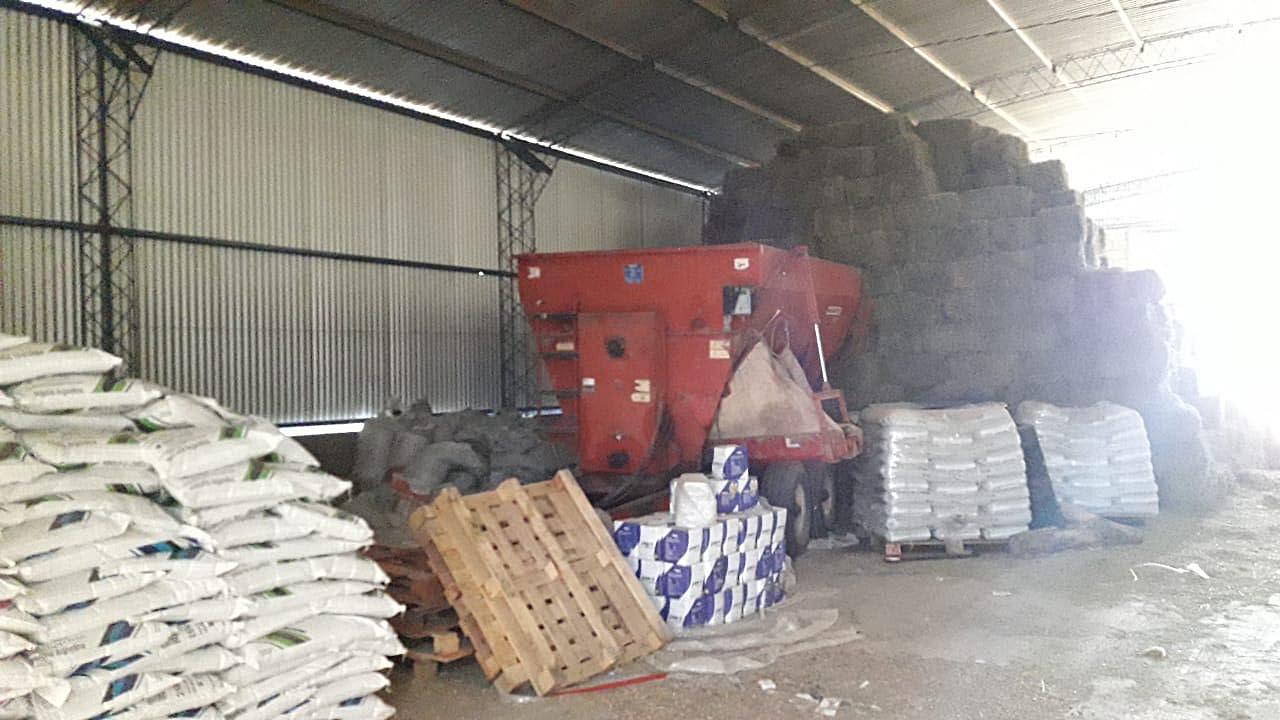 9897e1a3-bcfb-45cd-8ad4-b1abeeeefb98