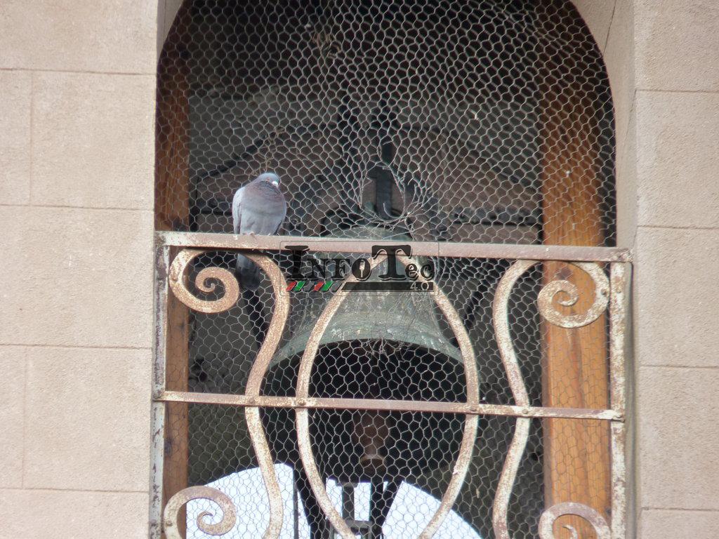 P1210186 (FILEminimizer)