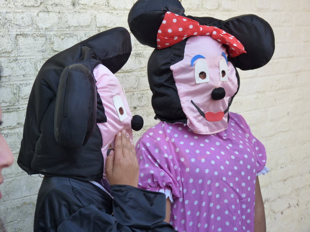 P1240709 (FILEminimizer)