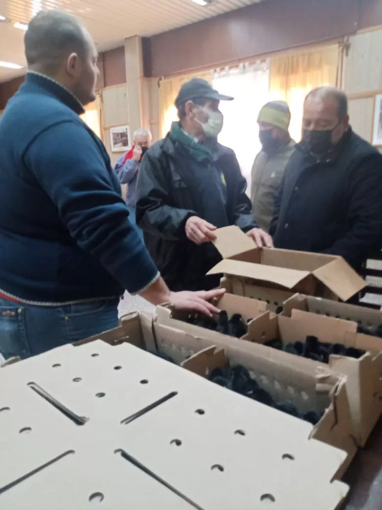 Ponedoras Larroude 5