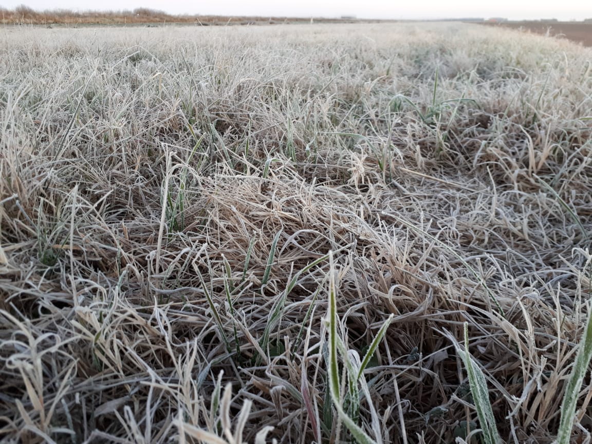 805342af-d9df-4215-ab3e-6e0a847c213a