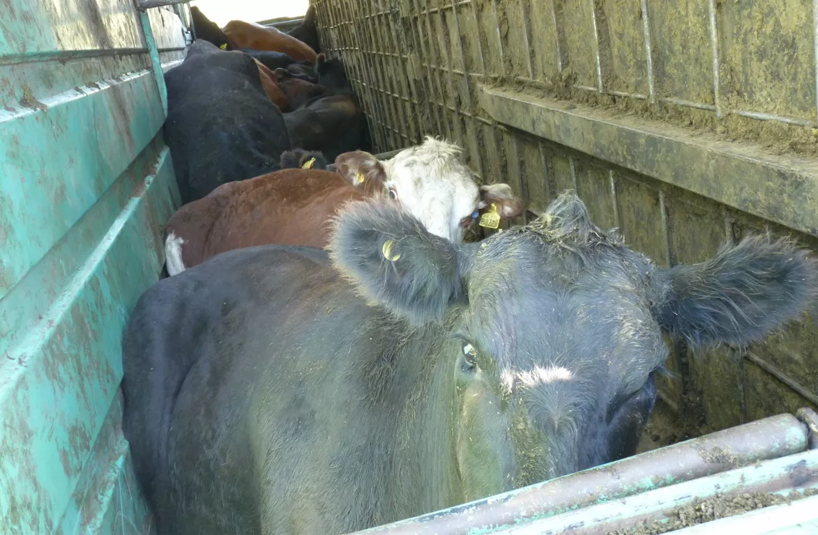 vuelco 9 (FILEminimizer)