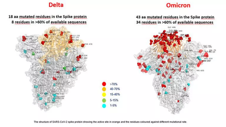DELTA COMPARACIÓN