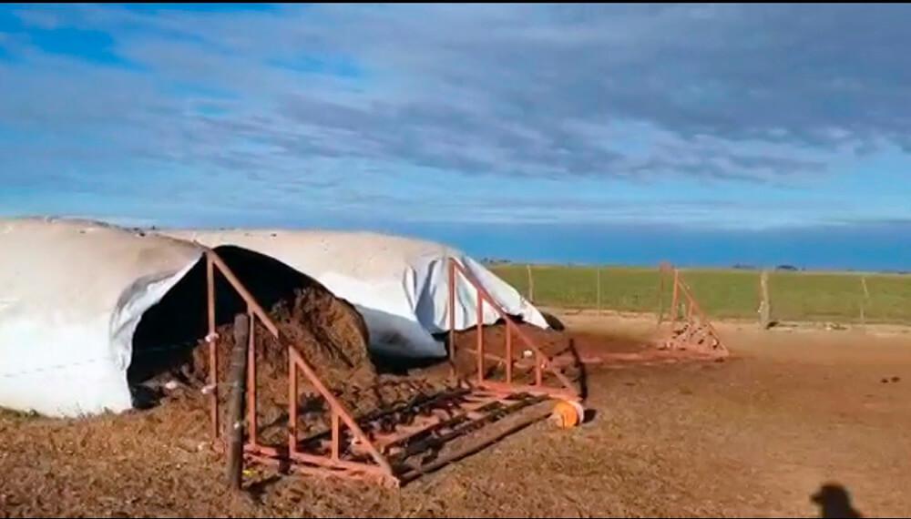 silobolsas-forrajes-infocampo