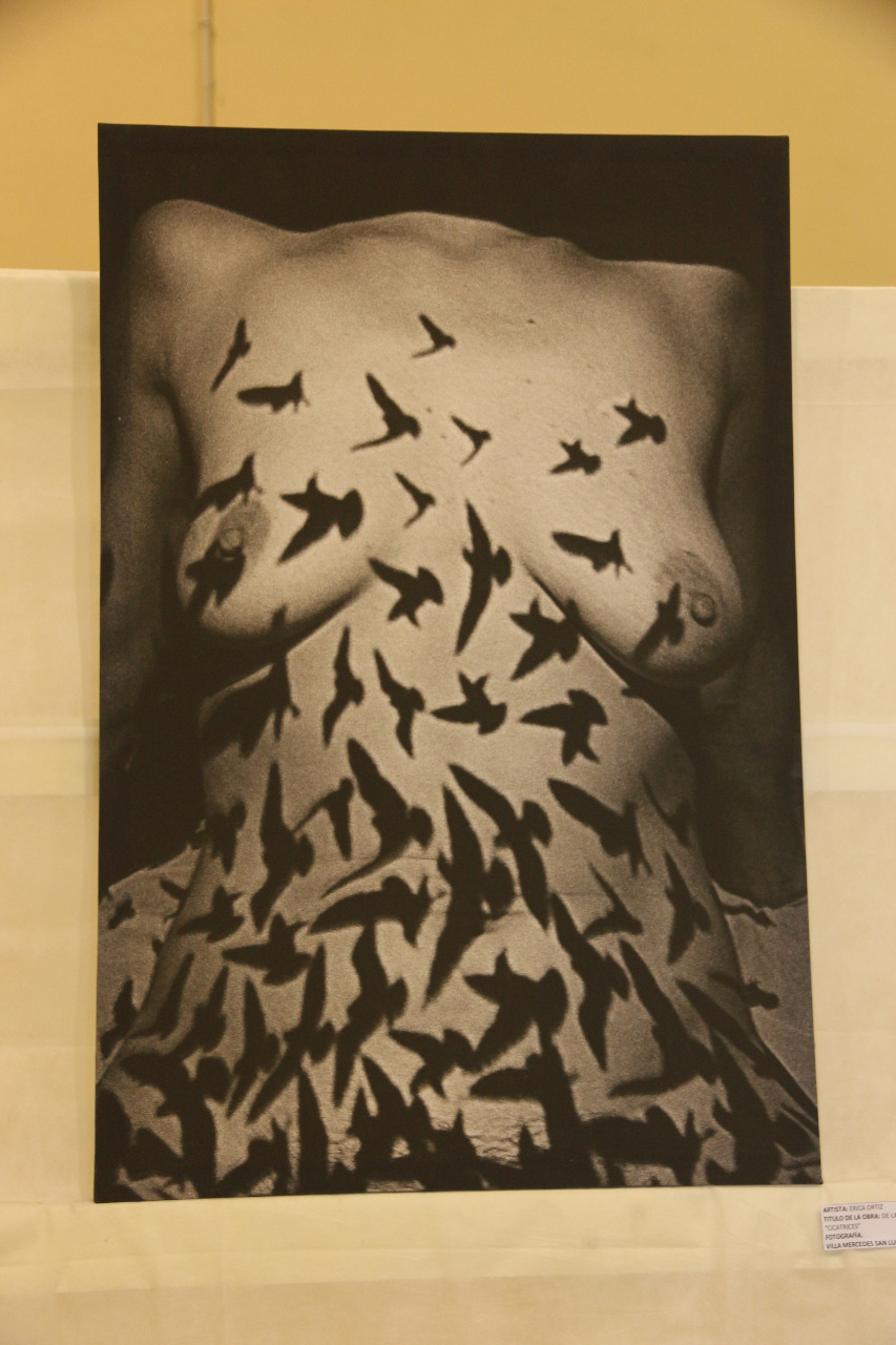 782301f3-621c-4cf5-82e1-7192c2e375fb