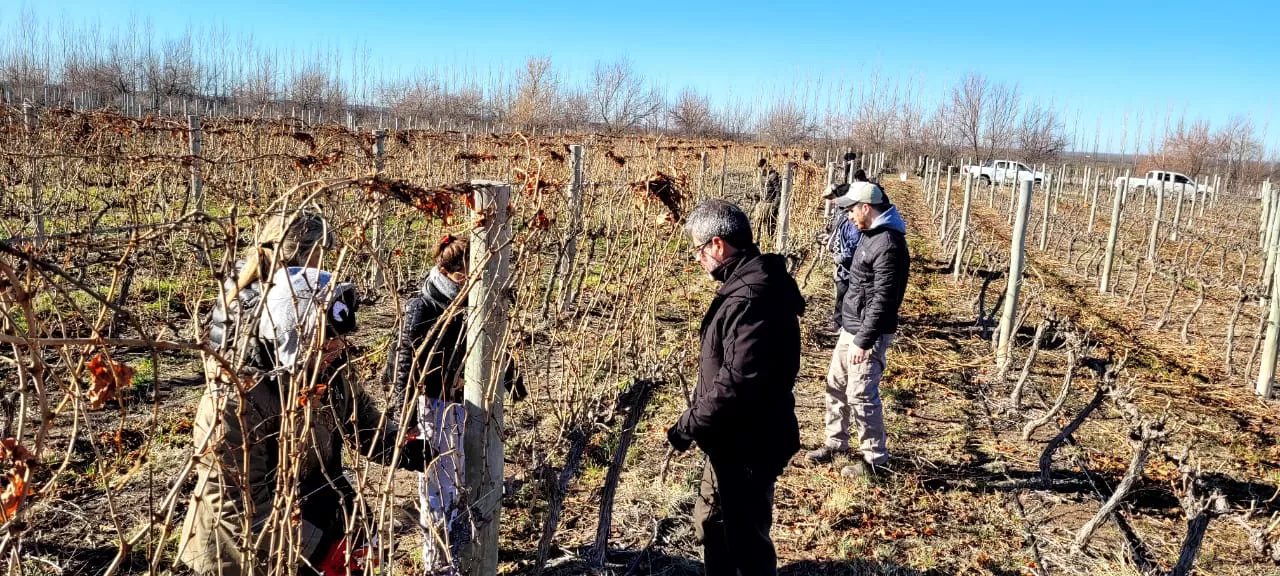 240094_img-20220811-wa0054